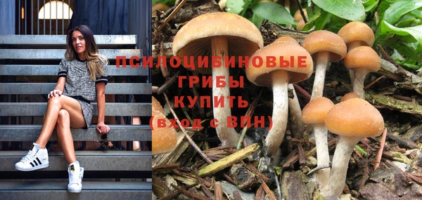 а пвп мука Абаза