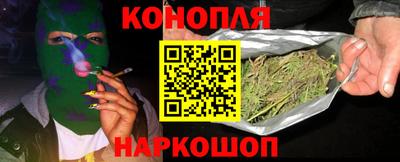 сатива Бийск