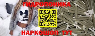 сатива Бийск