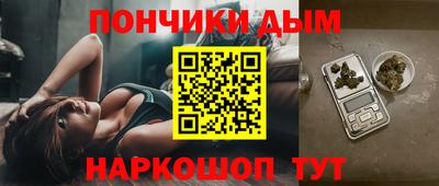 сатива Бийск