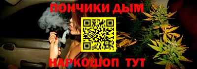 сатива Бийск