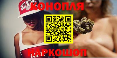 сатива Бийск
