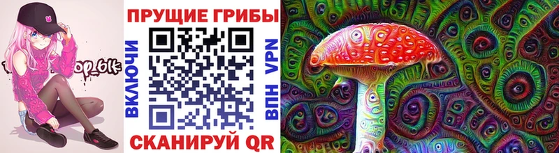 где найти наркотики Дербент мега рабочий сайт Галлюциногенные грибы Psilocybine cubensis