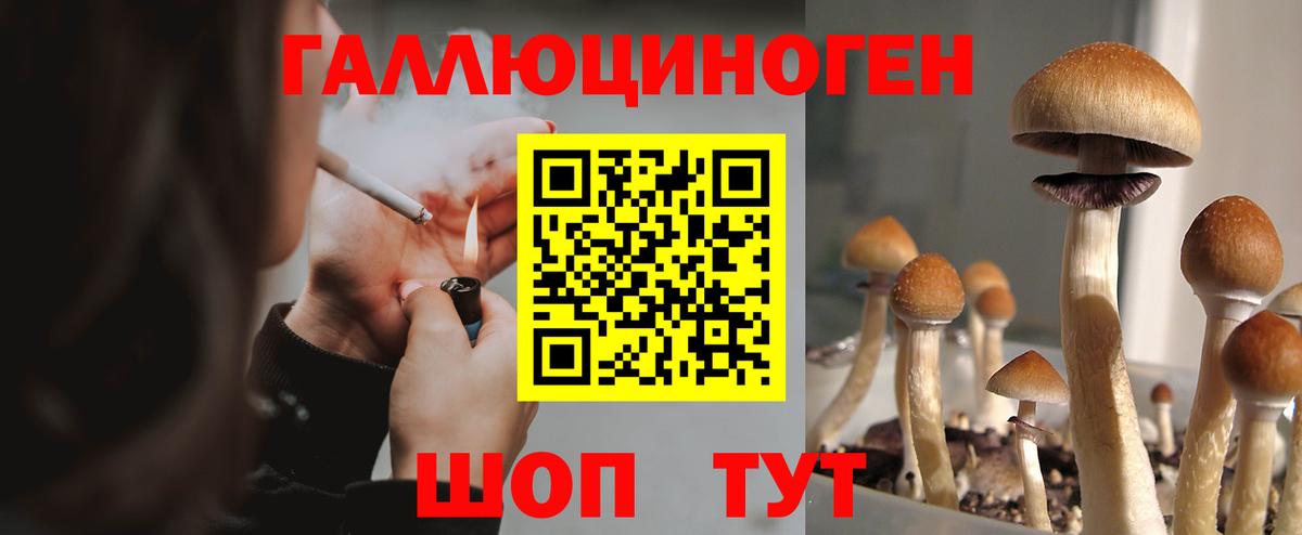 Дербент  сколько стоит  Вход с VPN  Галлюциногенные грибы мухоморы 